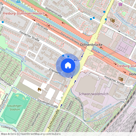 Erlenweg 1, 79115 Freiburg