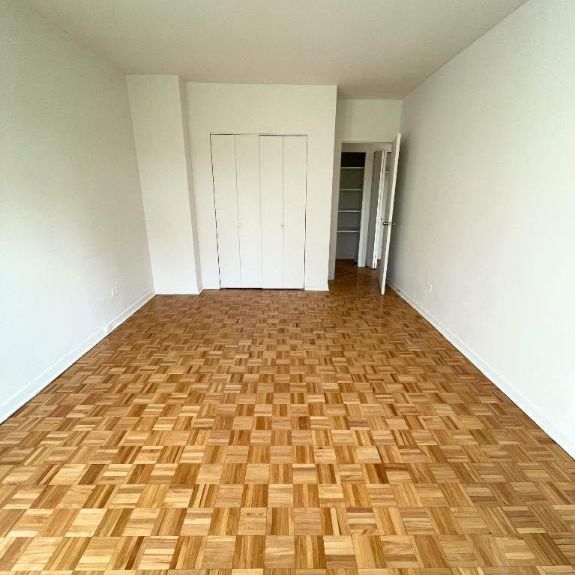 1 CH - 1 SDB - St-Laurent - $1,395 /mo - Photo 1
