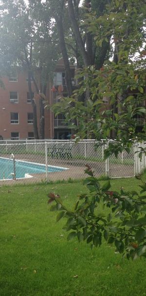 1 1/2, 3e étage, ascenseur piscine quiétude, vue cour arrière - Photo 1