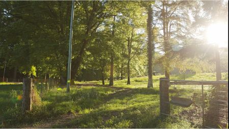 Charming Family Home in Upper Burringbar - Photo 5