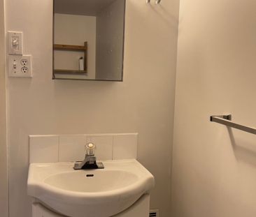 For Lease - 76 Shendale Drive Unit# Basement, Toronto, Ontario - Photo 4