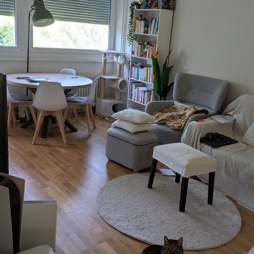 4 Zimmer, 55 m² - Foto 2