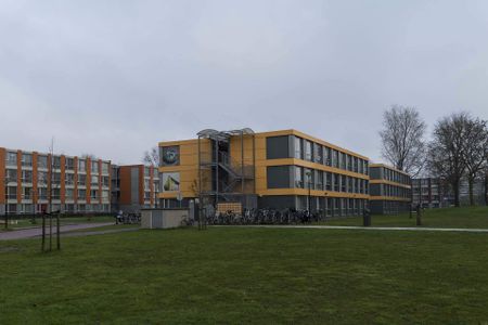 Studio au Dennenrodepad 665, Amsterdam Zuidoost - Photo 2