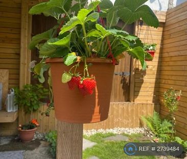 1 bedroom in a house share to rent - Photo 6