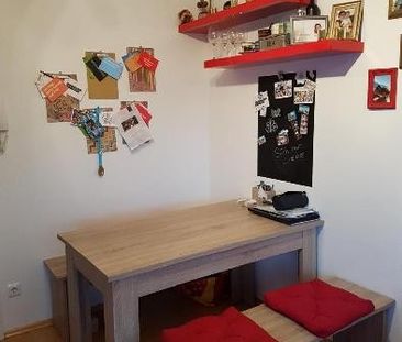 Laudongasse: Modernes Single-Apartment in toller Lage - Photo 3