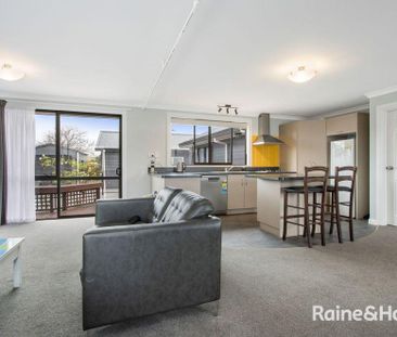38 Carisbrooke Street, Katikati - Photo 6