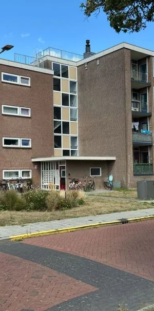 Appartement Pieter de Hoochstraat 19, Meppel - À louer - Photo 1