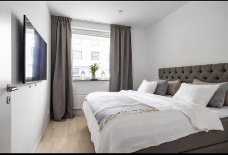 Gaffelseglet, Vega - Photo 5