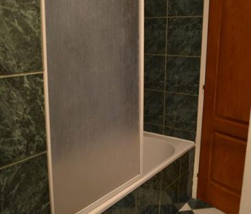 Location Appartement 4 pièces 82m² ROANNE 42300 - Photo 2