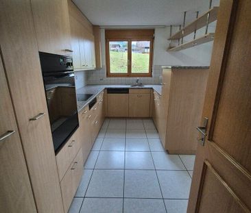 Quiet + fantastic view (half the rent given at move-in) - Photo 6