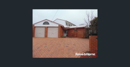 CUL DE SAC - TOP OF TOWN- Available 12/1/25 !!! - Photo 5