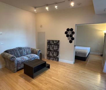 For Lease - 245 Kent Street Unit# 1007, Ottawa Centre, Ontario - Photo 3