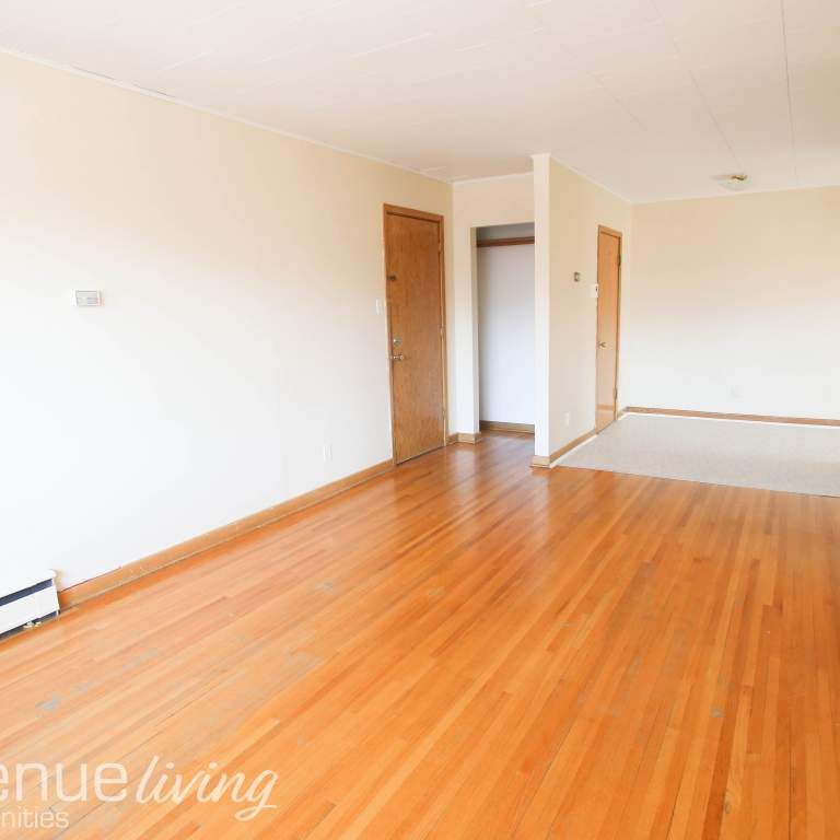 Renovated Suite - 1 Bedroom - Photo 1