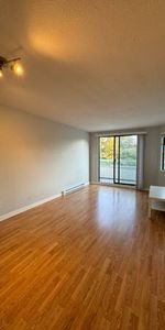 Entire Apartment 2 Beds 1 Bath - Photo 3