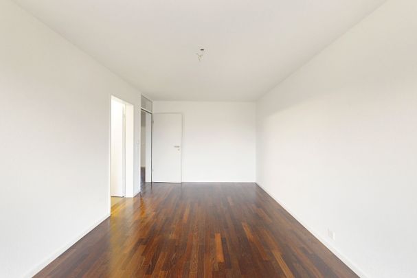 Finish your apartment search! - Foto 1