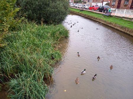 3 bedroom apartment to rent - Photo 4