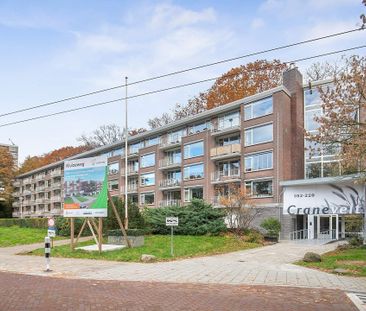 Appartement Kluizeweg 148, Arnhem - À Louer - Photo 5