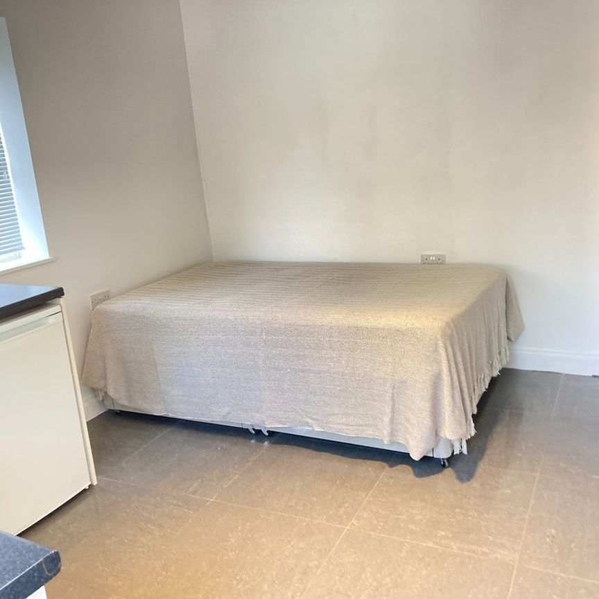 Studio Flat, Very Near Maple Grove Area, W5 - Photo 1