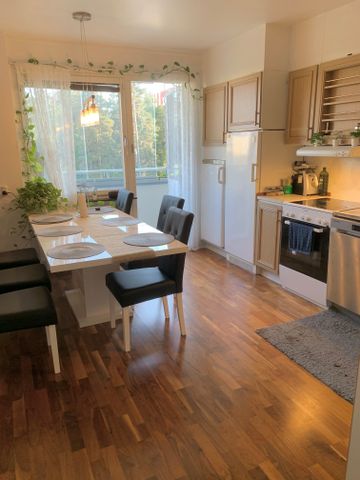 Saimagatan, Kista - Photo 5