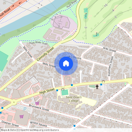 35 Ropata Crescent, Boulcott, Lower Hutt