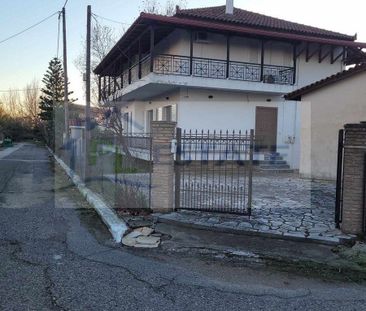 Μονοκατοικία για ενοικίαση Ροβιάτα (Αμαλιάδα) - Photo 5