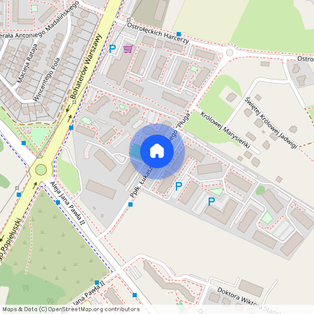 Ostrołęka, ppłk., Łukasza, Cieplińskiego, "Pługa"