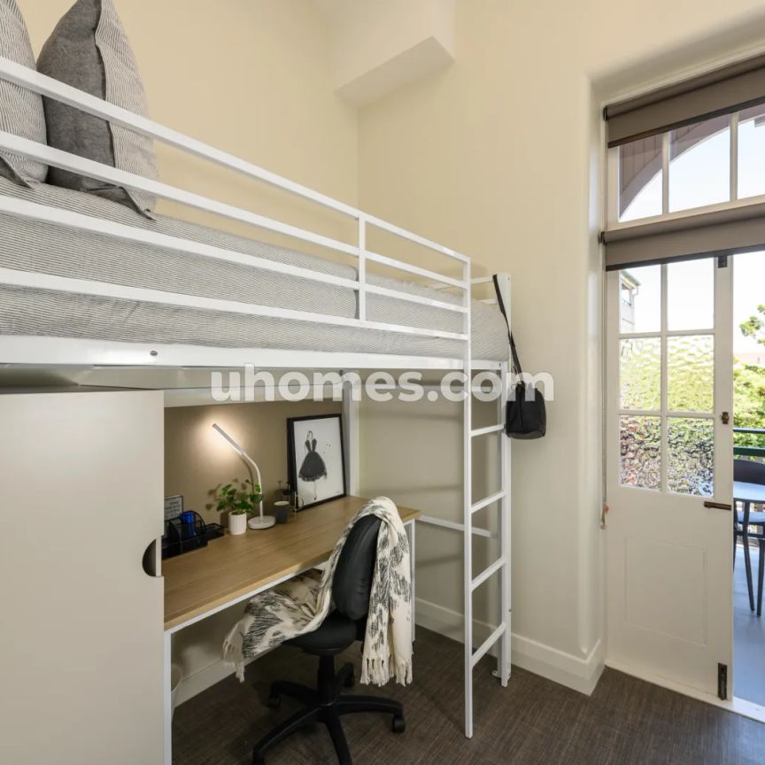 Single Lofts-Single Loft Large - Photo 1