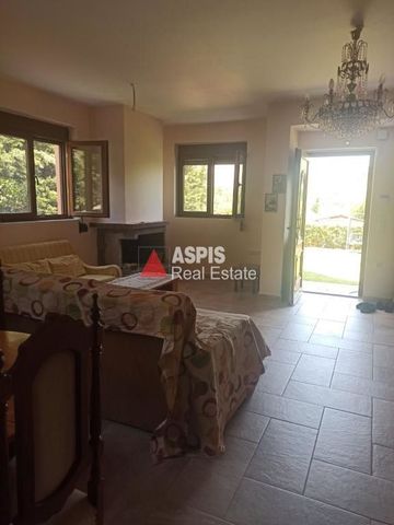 Διαμέρισμα για ενοικίαση - Καλύβια Θορικού - Photo 2