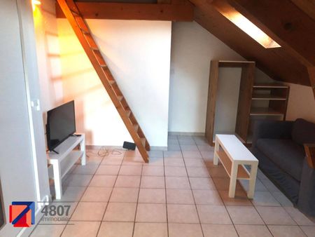 Location appartement rénové 1 pièce 19.62 m² à Marnaz (74460) - Photo 4