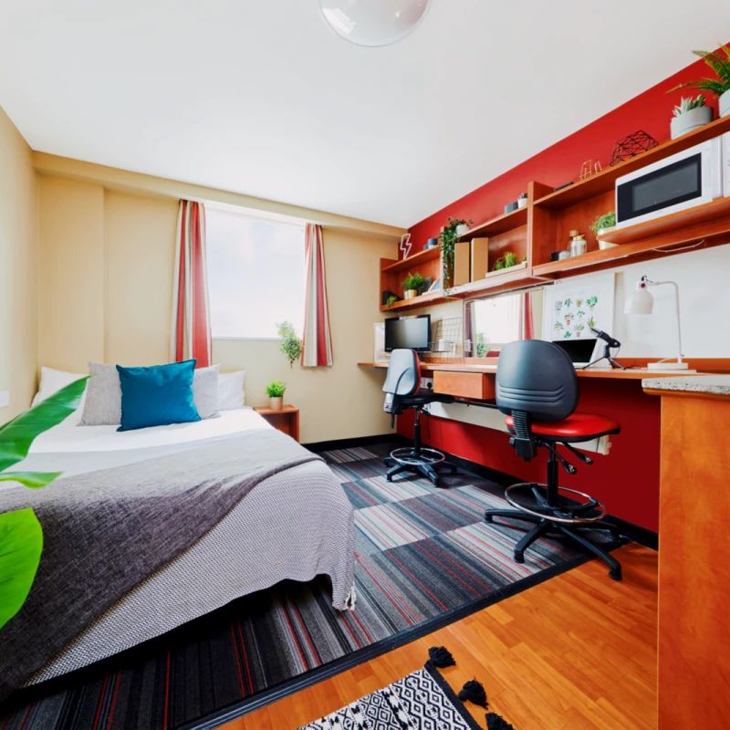 Single Studio - Photo 1