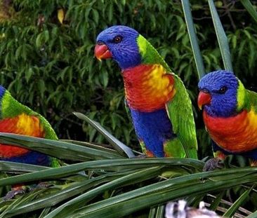 Four bedroom home with amazing views. Includes water, electricity &... - Photo 5