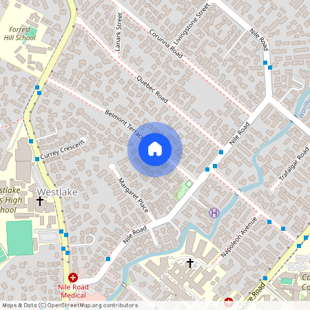 14 Belmont Terrace, Auckland City of Sails, Milford