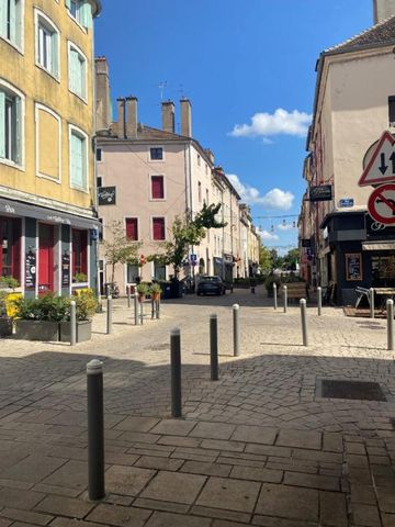 STUDIO RENOVE SUR L'ILE SAINT LAURENT - Photo 4