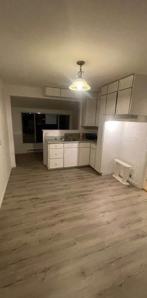 Appartement 4 1/2 à louer à Laval Ouest - Photo 1
