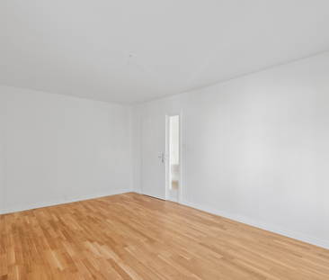 Ruhig gelegene 3 Zimmer-Wohnung in Allschwil - Foto 1