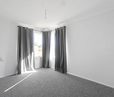 Recently Renovated Unit with Air Conditioning - Photo 4