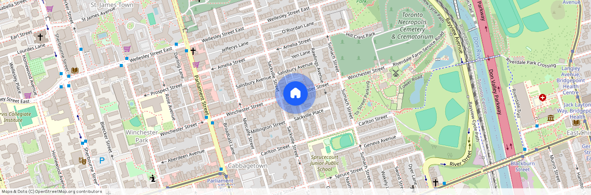 115 Winchester Street Unit# Bsmt, Toronto