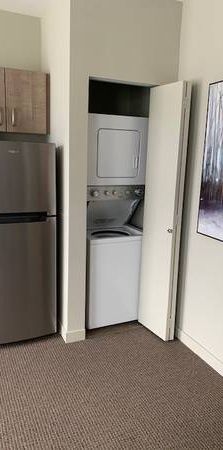 Fully Furnished Studio Apartment, Walk to UFV, Starbucks, Restaurants - Photo 1