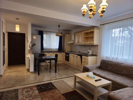 VIDRA – COMPLEX DEALUL VERDE, CASA 4 CAMERE, 135MP Utili! - Fotografie 2