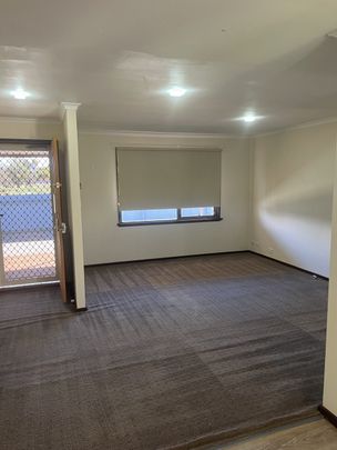 Don't Miss This 3x1 Well Located With A Large Backyard. - Photo 1