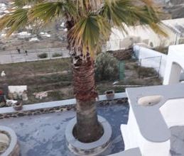 Μονοκατοικία για ενοικίαση - Σαντορίνη, - Φωτογραφία 2