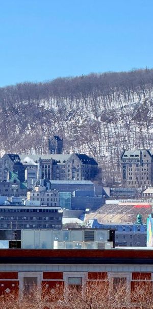 Studio à louer – unique vue sur le parc Lafontaine et Mont-Royal | rue Sherbrooke Est, 12e étage - Photo 1