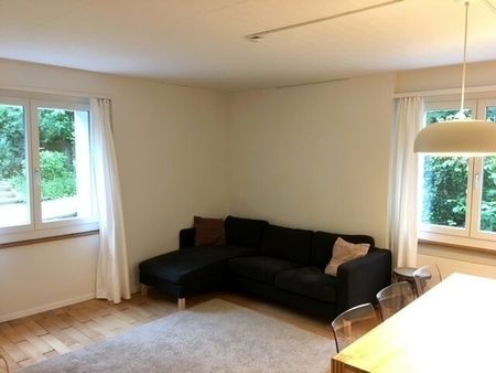 3-ROOM APARTMENT IN LUCERNE, FURNISHED, TEMPORARY - Photo 4