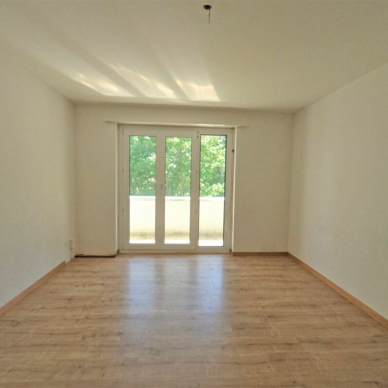 #verliebtinschaffhausen - wundervolle Wohnung mit neuer Küche, neuem Bad und sonnigem Balkon - Photo 1