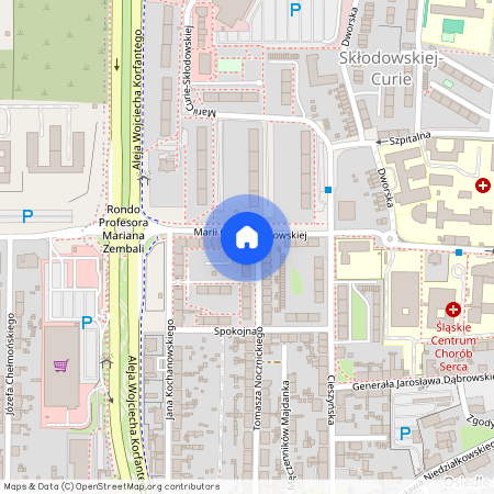 ul. Tomasza Nocznickiego 44, Śródmieście, Zabrze, śląskie