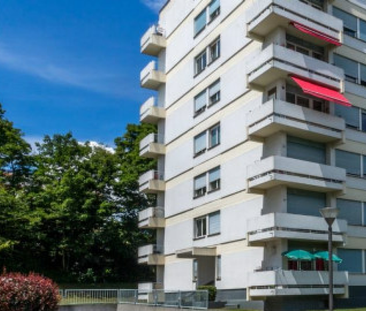 Charmant logement rénové de 4 pièces en plein coeur de Versoix avec... - Photo 1