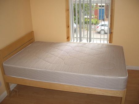 Great Location, 79b University Avenue, Queens Quarter, Belfast, BT7 1GY - Photo 3