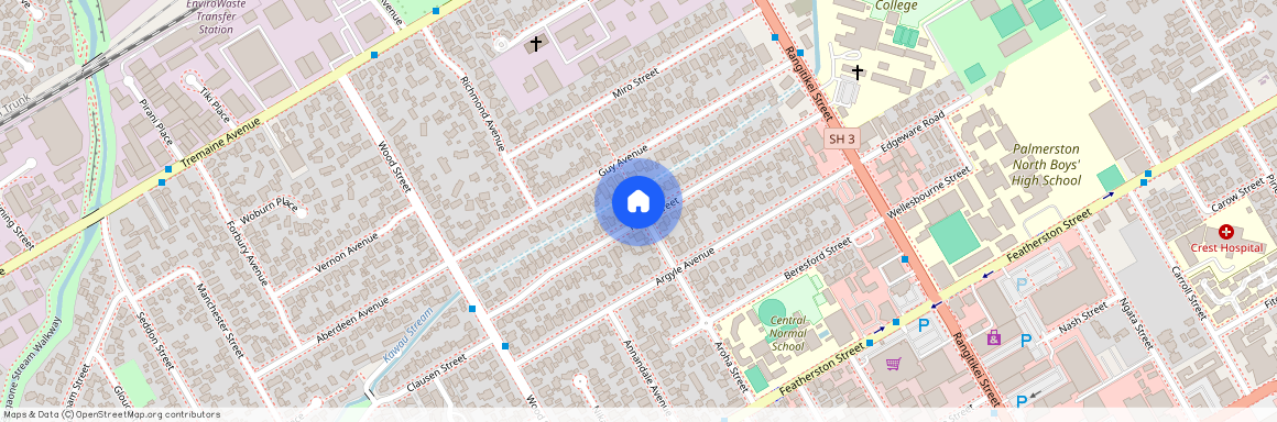 56 Havill Street, Takaro, Palmerston North City