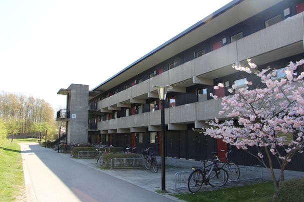 Vildandsvägen 22 D - Photo 1