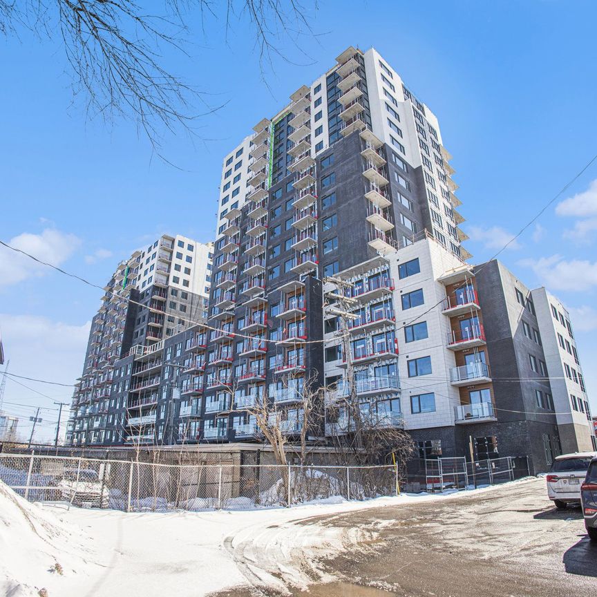 For Lease - 1655 Carling Avenue Unit# A505, Carlingwood - Westboro and Area, Ontario - Photo 1